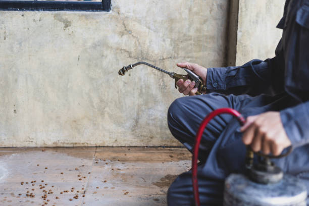 Best Wasp Removal Services  in Troy, MI